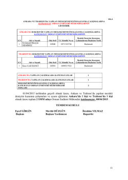 Mesleki deneyim kazanma &ccedil;alışmalarına 01/04/2015 de