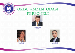 organizasyon şeması_mmli PERSONEL