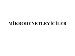 mikrodenetleyici mimarisi