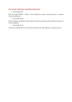 Bilimsel Araştırma Projeleri