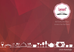 e-katalog - lemons.com.tr