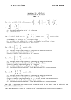 Fen Fak&uuml;ltesi Matematik B&ouml;l&uuml;m&uuml; Lineer Cebir