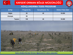Ağaçlandırma ve Toprak Muhafaza Projesi