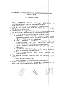 İhale ile ilgili dosyayı indirmek i&ccedil;in tıklayınız