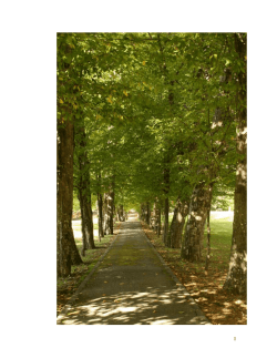 Upute za 5. molitvenu cjelinu