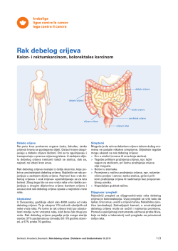 Rak debelog crijeva