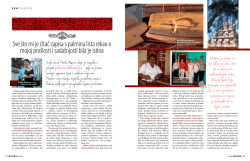 Sve śto mi je ćitać zapisa s palmina lista rekao o mojoj proślosti i