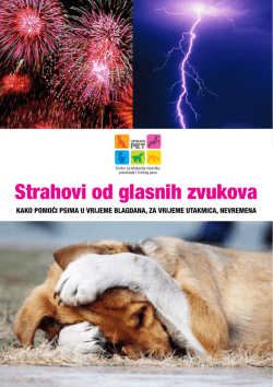 Strahovi od glasnih zvukova