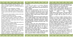 VDJE (letak br.369)!