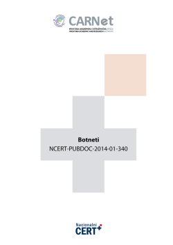 2 Način rada botneta