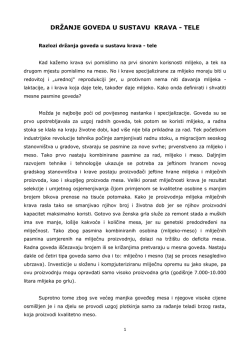 sustav krava-tele.pdf - Udruga uzgajivača goveda Mokro polje Novska
