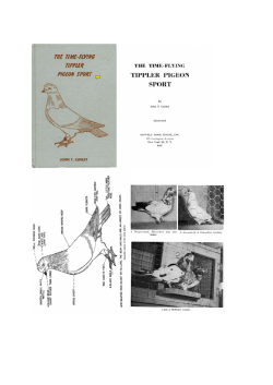 Tiplerski sport-1961