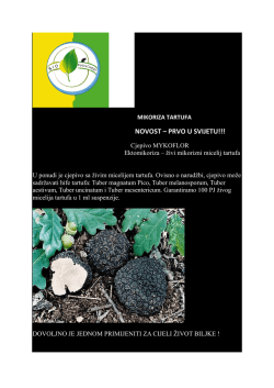 Pogledaj katalog Mikoriza za tartufe