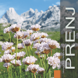 Planina Prenj / - zeleni