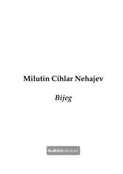 Milutin Cihlar Nehajev