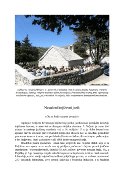 Nesuđeni književni jezik