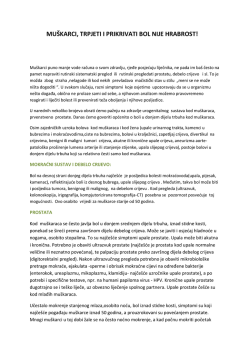 MU&Scaron;KARCI, TRPJETI I PRIKRIVATI BOL NIJE HRABROST!