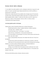 Reimsko evanđelje , iz /iz/Spsg, 1395.