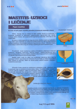 Mastitis kod krava - uzroci i lecenje.pdf