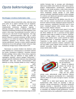 Mikrobiologija NS.pdf