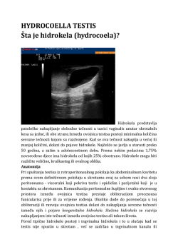 HYDROCOELLA TESTIS Šta je hidrokela (hydrocoela)?