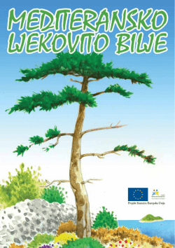 Projekt financira Europska Unija