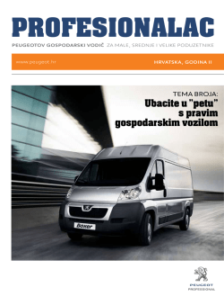 Peugeot Professional