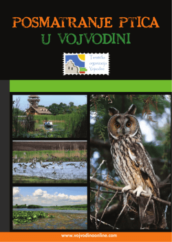 POSMATRANJE PTICA U VOJVODINI