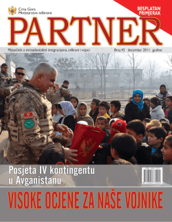 Partner 43 Web