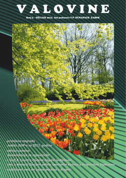 V A L O V I N E