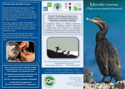 Letak Morski Vranac