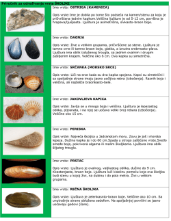 Priručnik za odreĎivanje vrsta &Scaron;KOLJKI Ime vrste