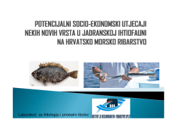 Potencijalni socio-ekonomski utjecaji nekih novih vrsta u jadranskoj
