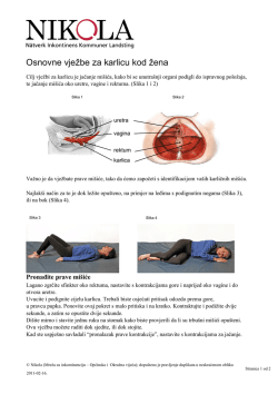 Osnovne vježbe za karlicu kod žena
