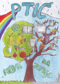 Prikaži Ptić 34 - Osnovna škola braće Radić Botinec