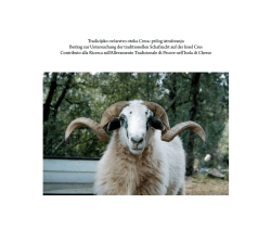 Tradicijsko ovčarstvo otoka Cresa: prilog istraživanju Beitrag zur