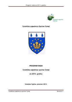 Program rada s financijskim planom za 2013.