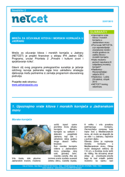 1. Upoznajmo vrste kitova i morskih kornjača u
