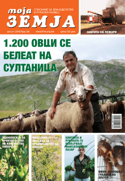 1.200 ovci se beleat na sultanica 1.200 ovci se beleat na sultanica