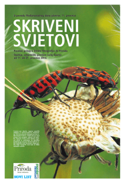 Prilog iz Novog Lista - Nacionalni park Sjeverni Velebit