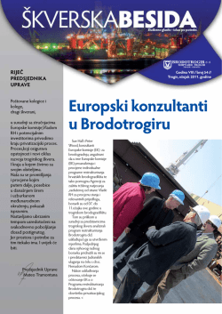 Europski konzultanti u Brodotrogiru