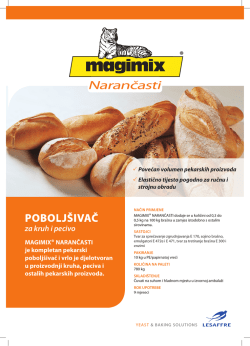 magimix - Kvasac doo