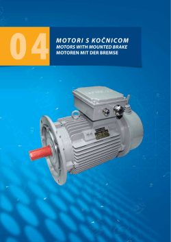 04MOTORI s KOčnIcOM
