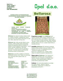 Bellarosa ima niske do srednje zahtjeve kada su u pitanju zemljište i