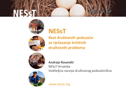 Andreja Rosandić, NESsT Croatia
