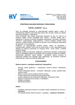 Strategija razvoja tvrtke Humvio d.o.o..pdf