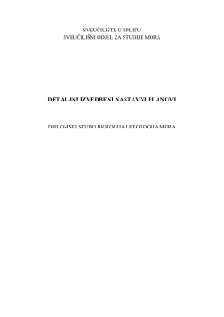 detaljni izvedbeni nastavni planovi