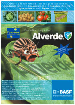 Posledno шto gledaat