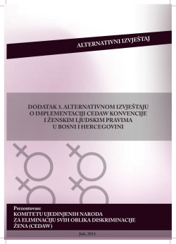 Annex to the Alternative Report