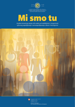 analiza i preporuke za sprječavanje diskriminacije u području